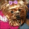 Daisy - 2 Jahre