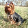 Angie - 2 Jahre