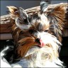 Luigi - 7 Monate