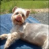 Candy - 5 Jahre