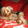 Jenny (2,5 Jahre) & Sara (1,5 Jahre)