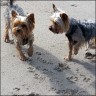 Gina und Angie