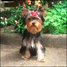 Lilly - 5,5 Monate