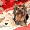 Tiffany - 2 Jahre
