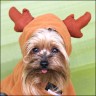 Daisy - 3 Jahre