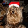 Lissa - 10 Jahre
