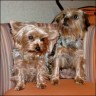 Polly & Lina