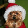 Daisy - 3 Jahre