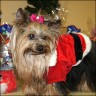Gloria - 13,5 Jahre