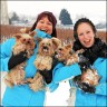 Filou, Nanja & Rica