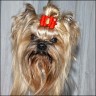Maira - 4 Jahre