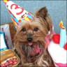 Daisy - 3 Jahre