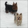 Lara (6 Jahre) & Lucy (3 Jahre) 