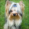 Lenny - 1 Jahr