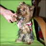 Daisy - 3 Jahre
