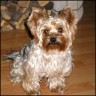 Lucky - 5 Jahre