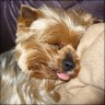 Nelson - 9 Jahre