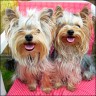 Casi & Lenny