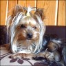 Bella Maja - 11 Monate