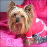 Daisy - 3,5 Jahre