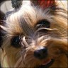 Cindy - 1 Jahr