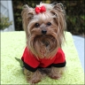 Daisy - 3,5 Jahre
