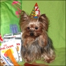 Daisy - 4 Jahre