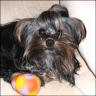 Balu - 11 Monate