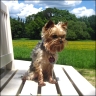 Percy - 7 Jahre