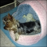 Higgins Boy - 2 Jahre
