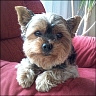 Peppi - 9 Jahre