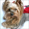 Daisy - 4,5 Jahre