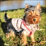 Pixie - 6 Monate