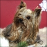 Frieda - 2 Jahre