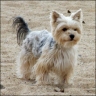 Lotte - 2 Jahre
