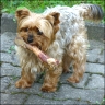 Nelson - 11 Jahre