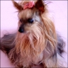 Chanel - 17 Jahre