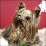 Frieda - 2 Jahre