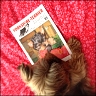 Sunny - 9 Jahre