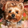 Gina - 8 Jahre