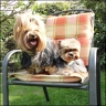 Farina (6 Jahre) & Julie (4 Jahre)