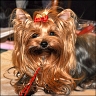 Xandrina - 3,5 Jahre