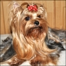 Xandrina - 4 Jahre