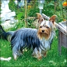 Lotty - 3 Jahre