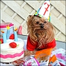 Daisy - 7 Jahre