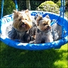 Farina, 7 Jahre & Julie, 5 Jahre