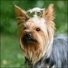 Eddy - 3 Jahre