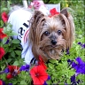 Daisy - 8,5 Jahre