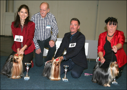 VDH-BUndessieger 2015 in Dortmund