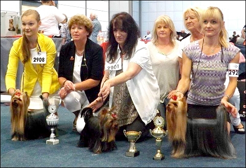 VDH German Winner Show - 23.08.2015 